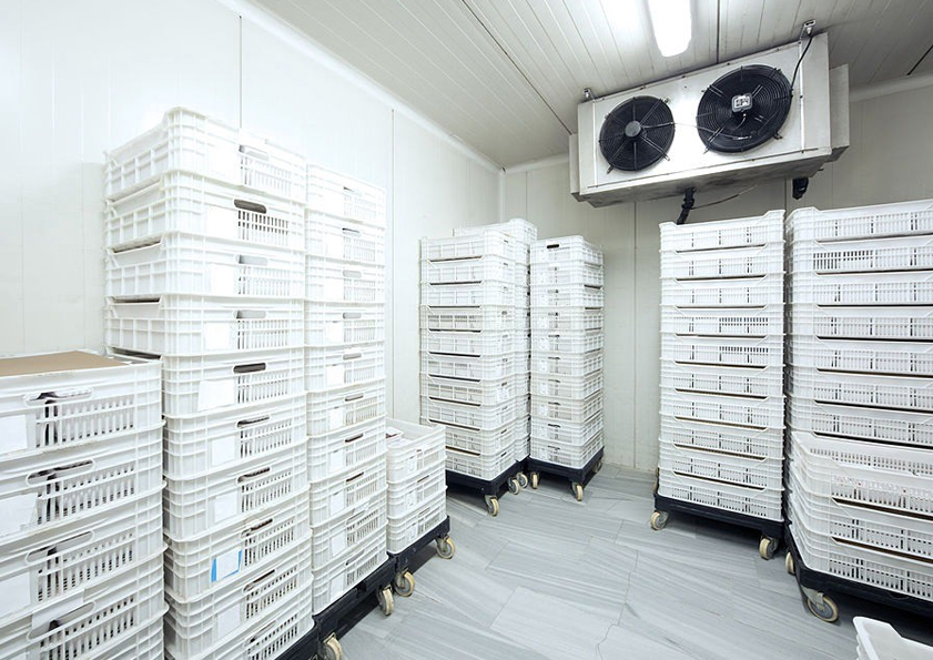 Cold Room